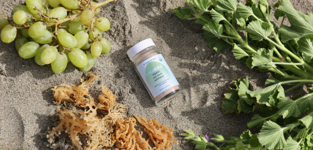 Ingredients In Our Sea Moss Exfoliator — Explained